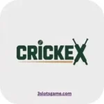 CRICKEX Game