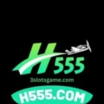 H555 Game