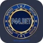 P44 Bet